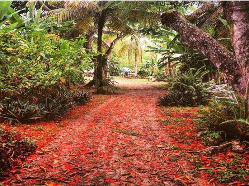 Hotel Htl Tubarao Barra Grande  Zewnętrze zdjęcie